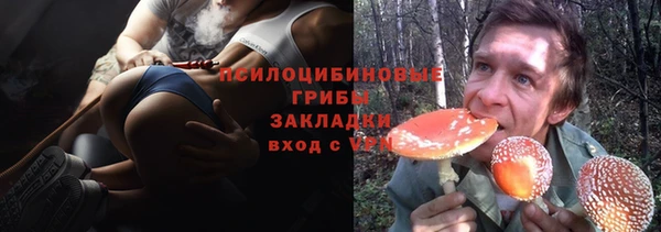 винт Богданович