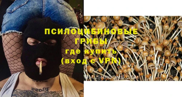 дживик Белоозёрский
