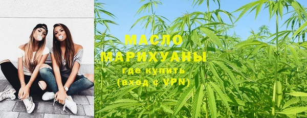 молекула духа Богородск