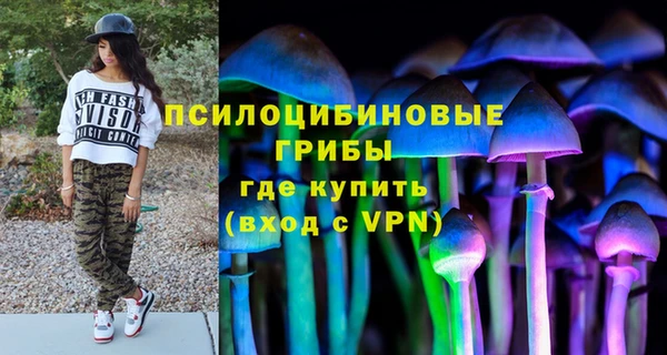 молекула духа Богородск