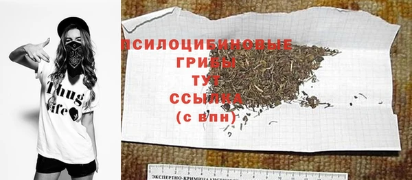 винт Богданович