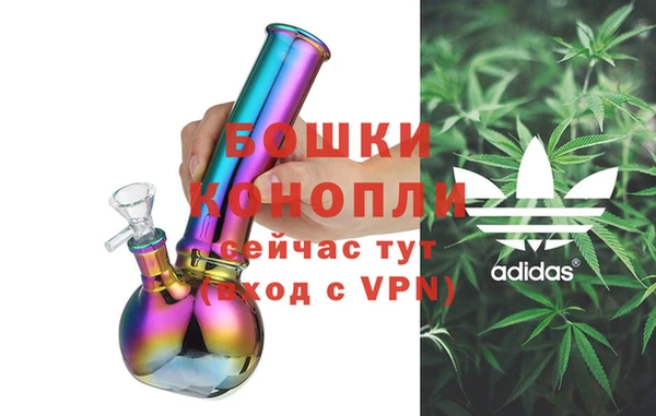 молекула духа Богородск