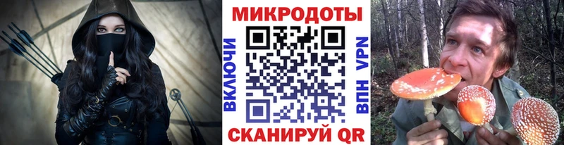 Галлюциногенные грибы Psilocybe  как найти   Купино 