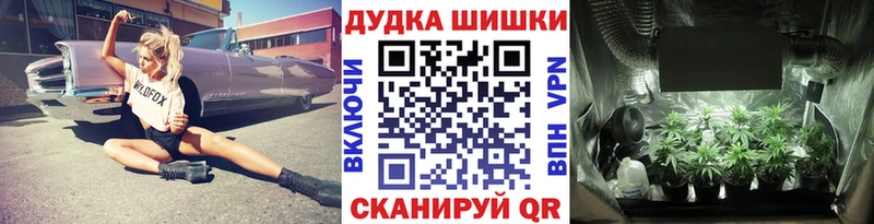 KRAKEN зеркало  Купино  Канабис планчик 